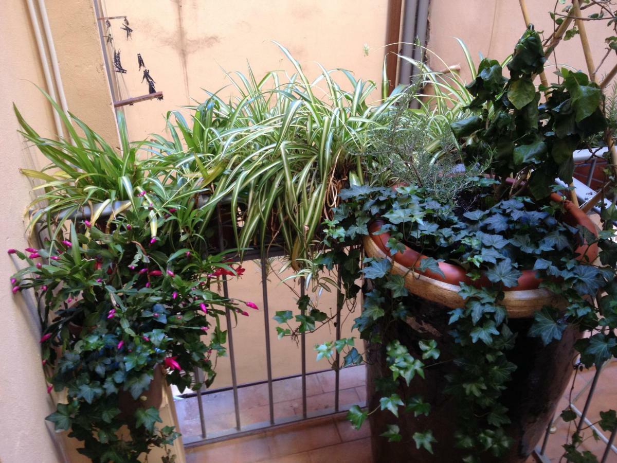Oasis In The Heart Of 佛罗伦萨 外观 照片